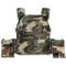 LPPC V2 Plate Carrier - Woodland